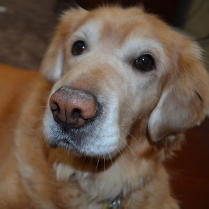 Meet your Posher, Marleigh